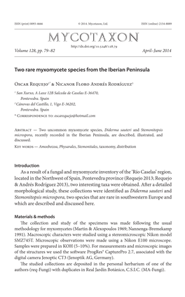 Two Rare Myxomycete Species from the Iberian Peninsula