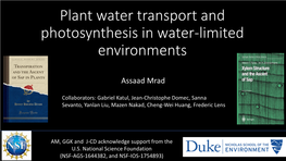 Plant Water Transport and Photosynthesis in Water-Limited Environments