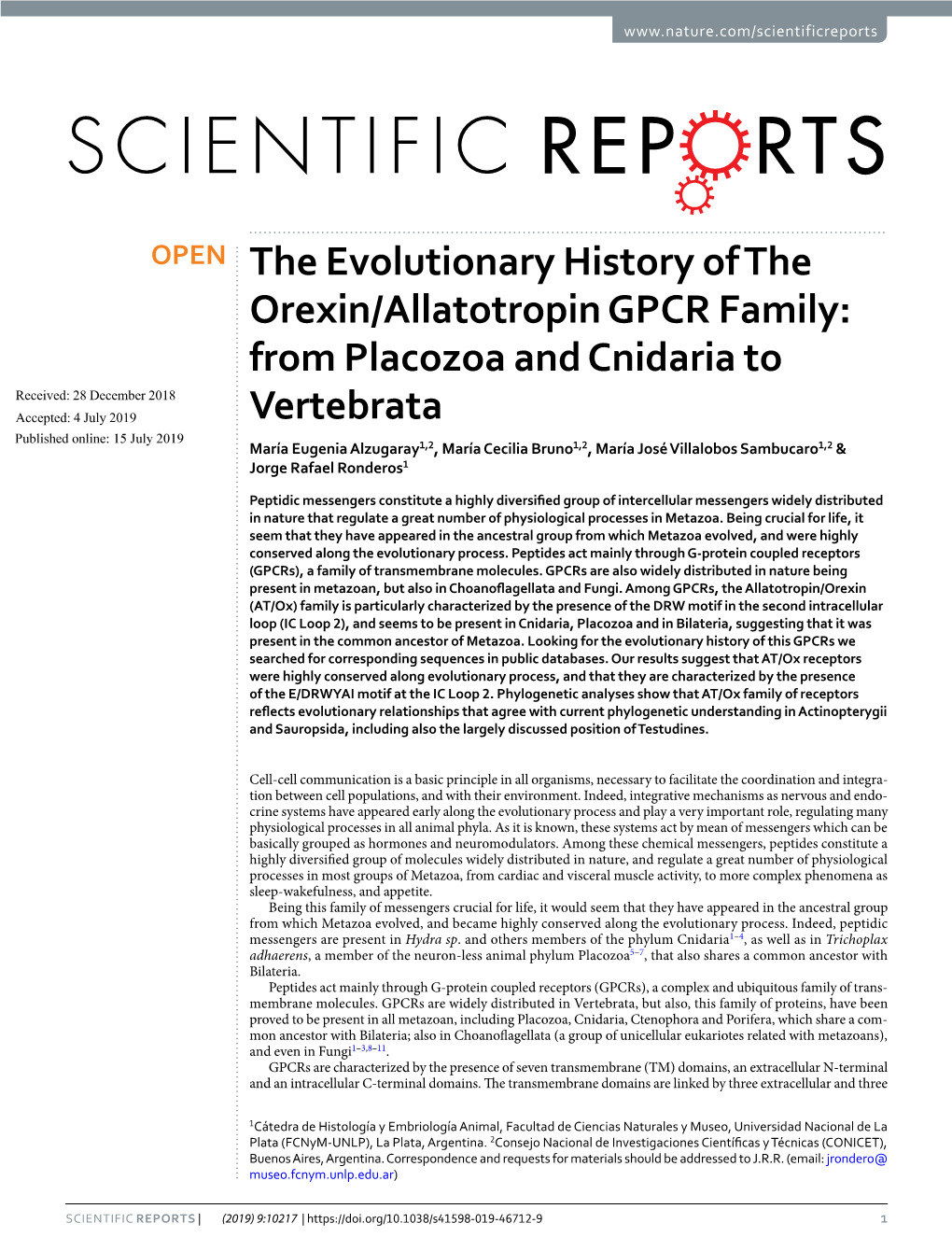The Evolutionary History of the Orexin/Allatotropin GPCR Family: From