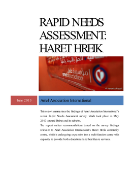 Rapid Needs Assessment: Haret Hreik