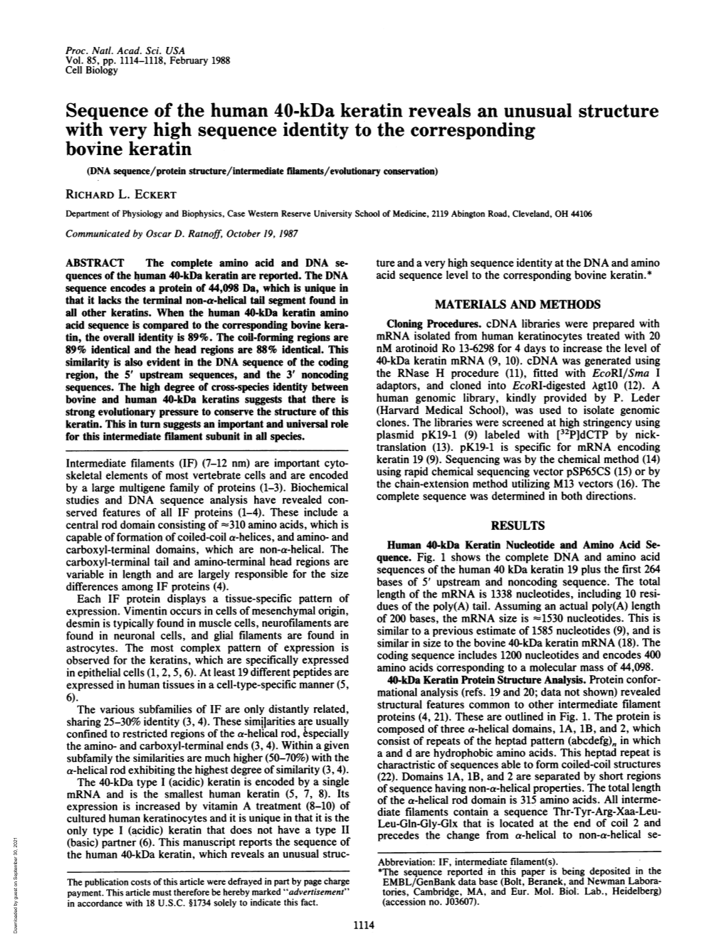 Sequence of the Human 40-Kda Keratin Reveals an Unusual