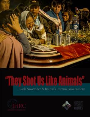 "They Shot Us Like Animals": Black November & Bolivia's Interim