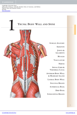 Trunk: Body Wall and Spine