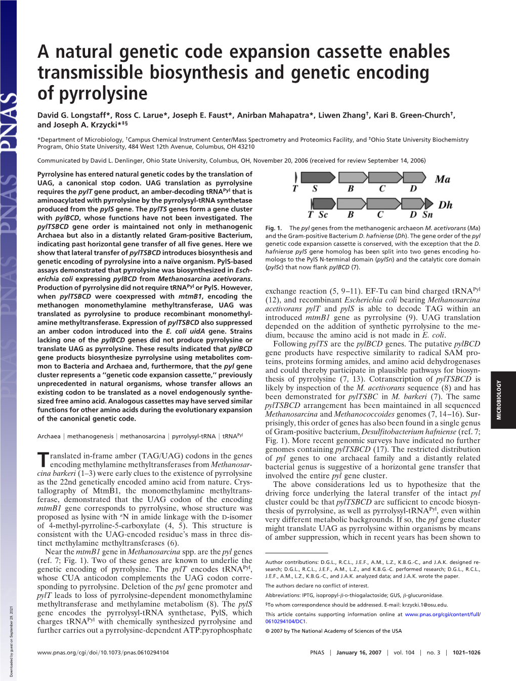 A Natural Genetic Code Expansion Cassette Enables Transmissible Biosynthesis and Genetic Encoding of Pyrrolysine