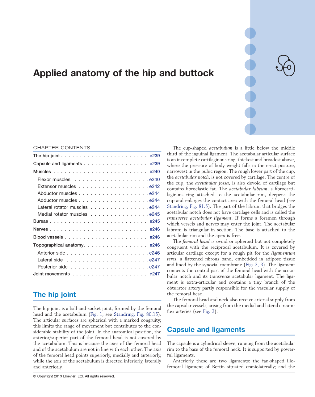 Applied Anatomy of the Hip and Buttock