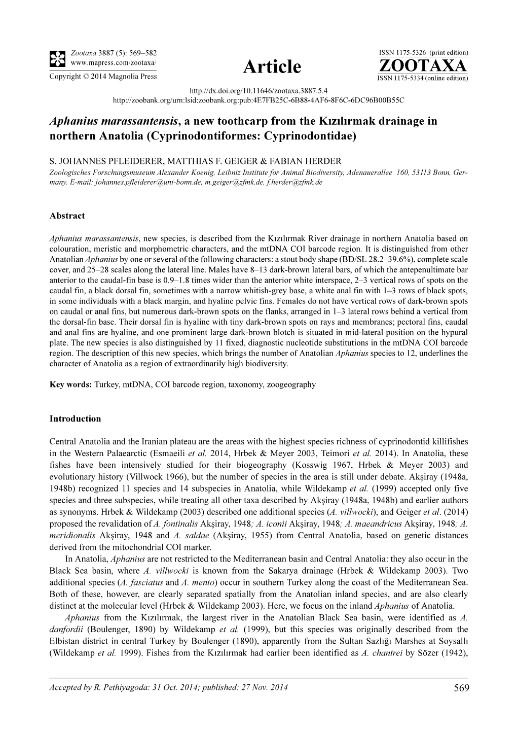 Aphanius Marassantensis, a New Toothcarp from the Kızılırmak Drainage in Northern Anatolia (Cyprinodontiformes: Cyprinodontidae)