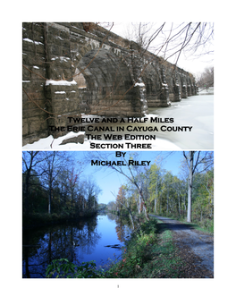 Twelve and a Half Miles the Erie Canal in Cayuga County the Web Edition Section Three by Michael Riley