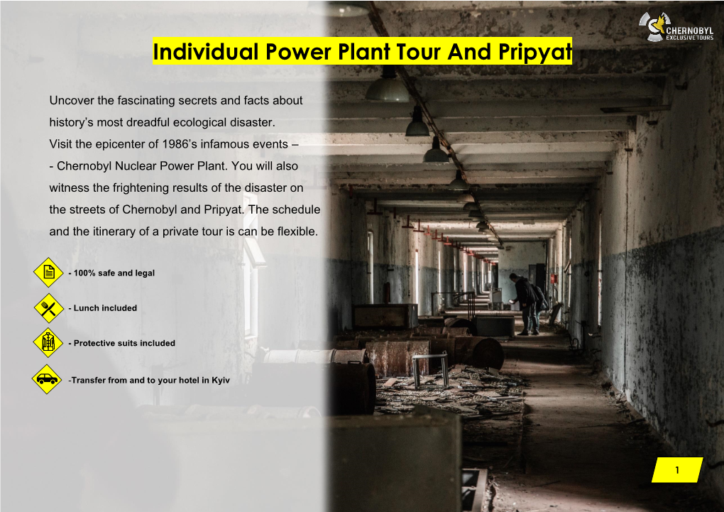 Individual Power Plant Tour and Pripyat