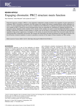 Engaging Chromatin: PRC2 Structure Meets Function