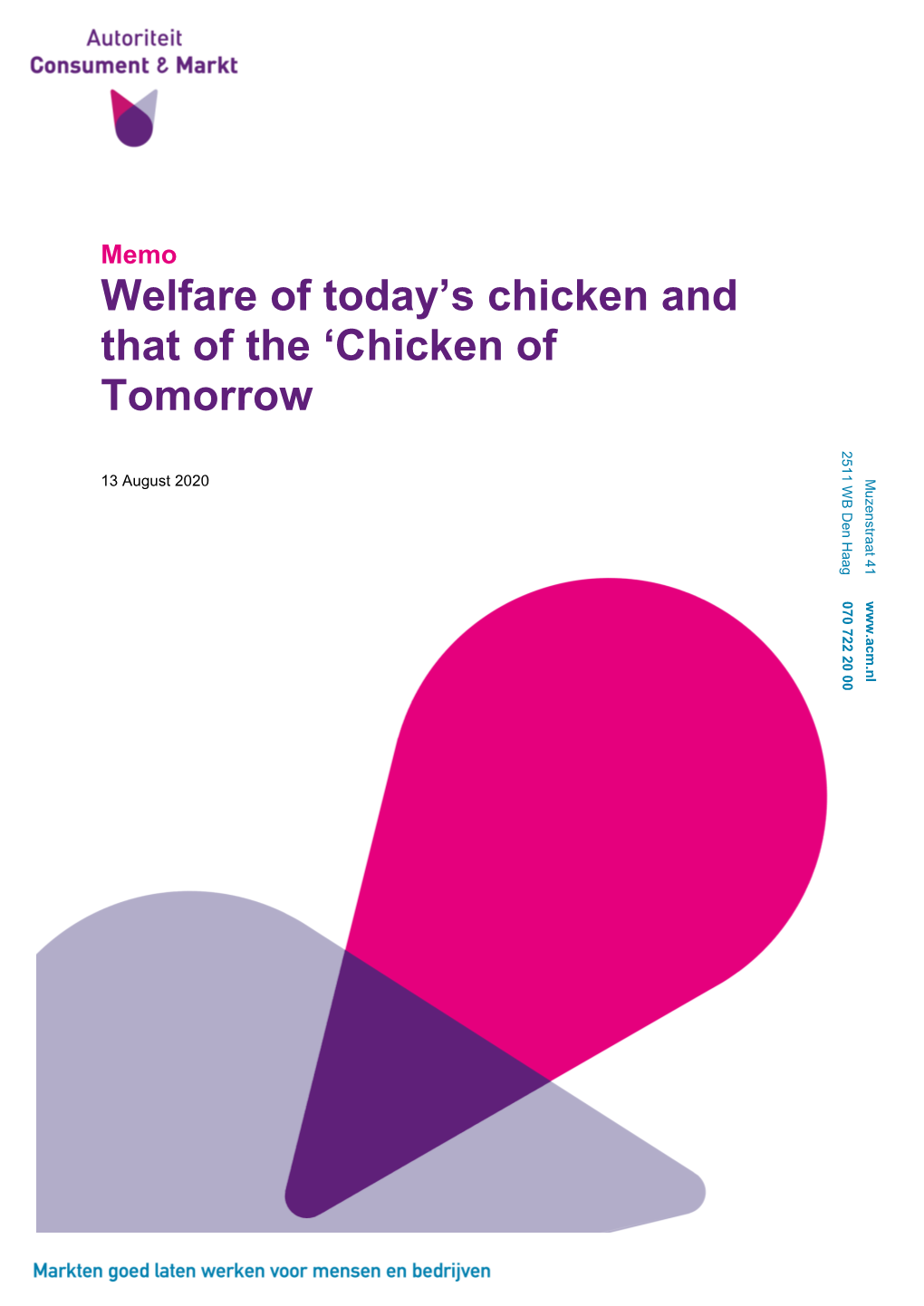 Welfare of Today's Chicken and That of the 'Chicken of Tomorrow'