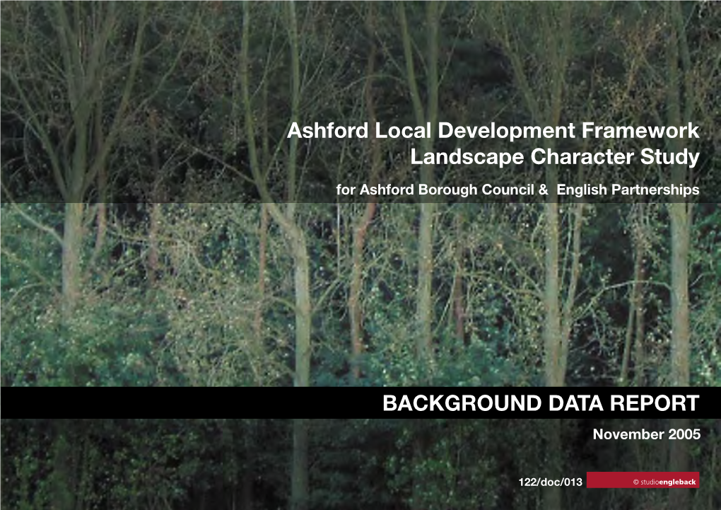 122/Doc/013 Background Report November 2005 Studioengleback Ashford Local Development Framework