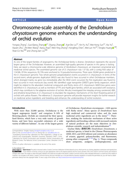 Chromosome-Scale Assembly of the Dendrobium Chrysotoxum Genome