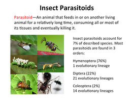 Insect Parasitoids