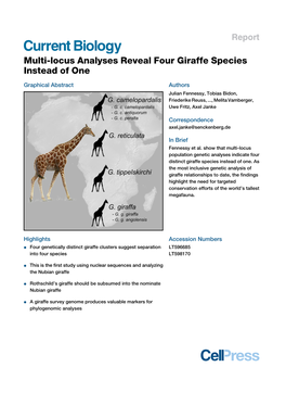 Multi-Locus Analyses Reveal Four Giraffe Species Instead of One