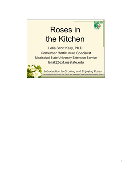 Roses in Kitchen