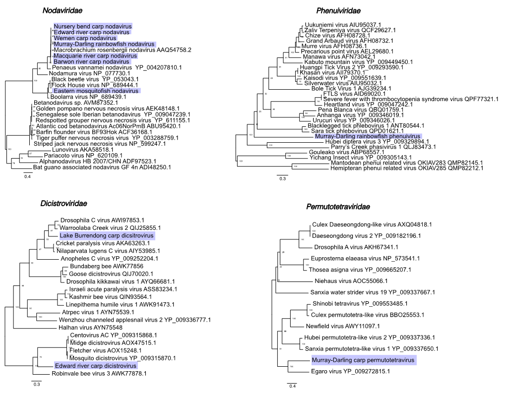 Nodaviridae Phenuiviridae Dicistroviridae Permutotetraviridae