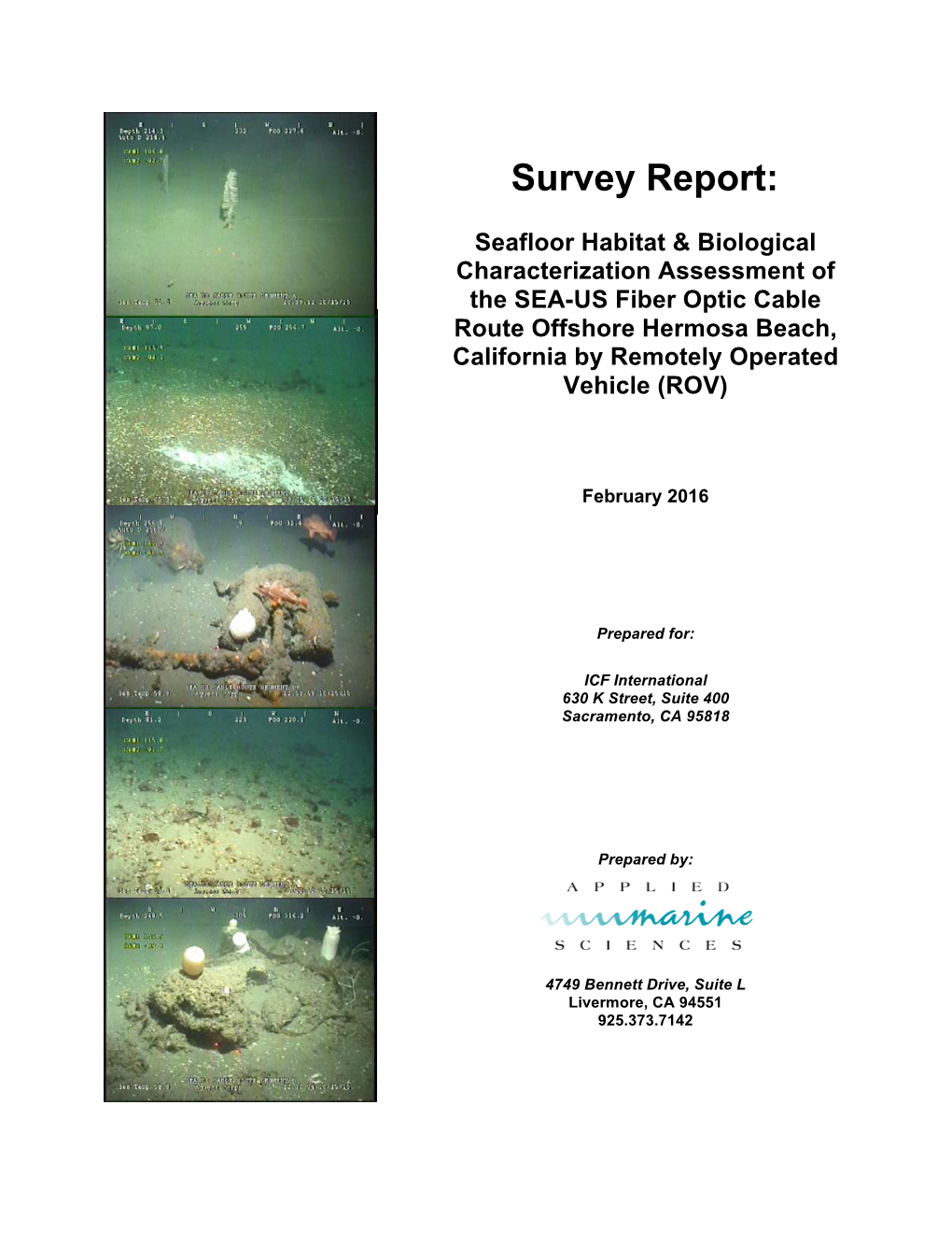 Survey Report