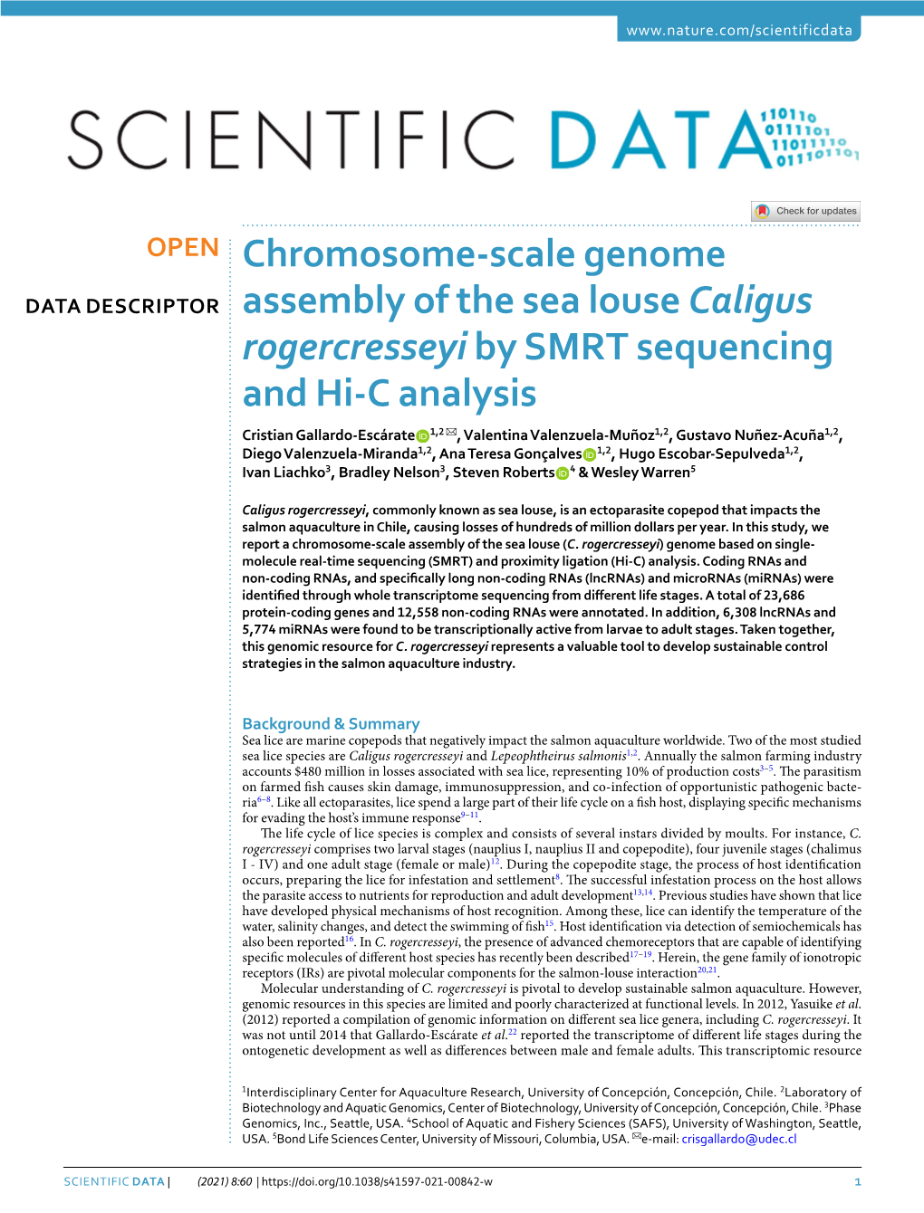 Chromosome-Scale Genome Assembly of the Sea Louse Caligus