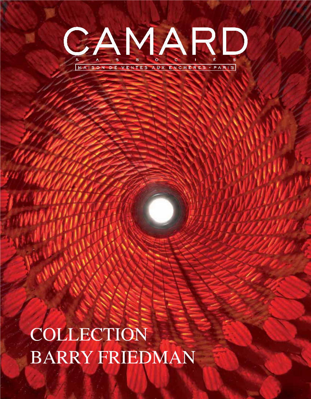 Collection Barry Friedman