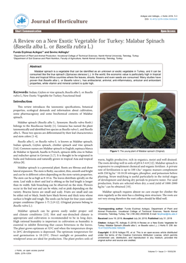 A Review on a New Exotic Vegetable for Turkey: Malabar Spinach (Basella Alba L. Or Basella Rubra