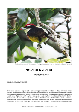 Northern Peru Tour Report 2019
