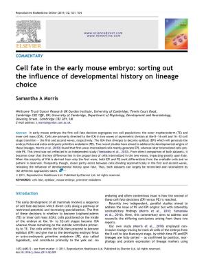 Cell Fate in the Early Mouse Embryo: Sorting out the Inﬂuence of Developmental History on Lineage Choice