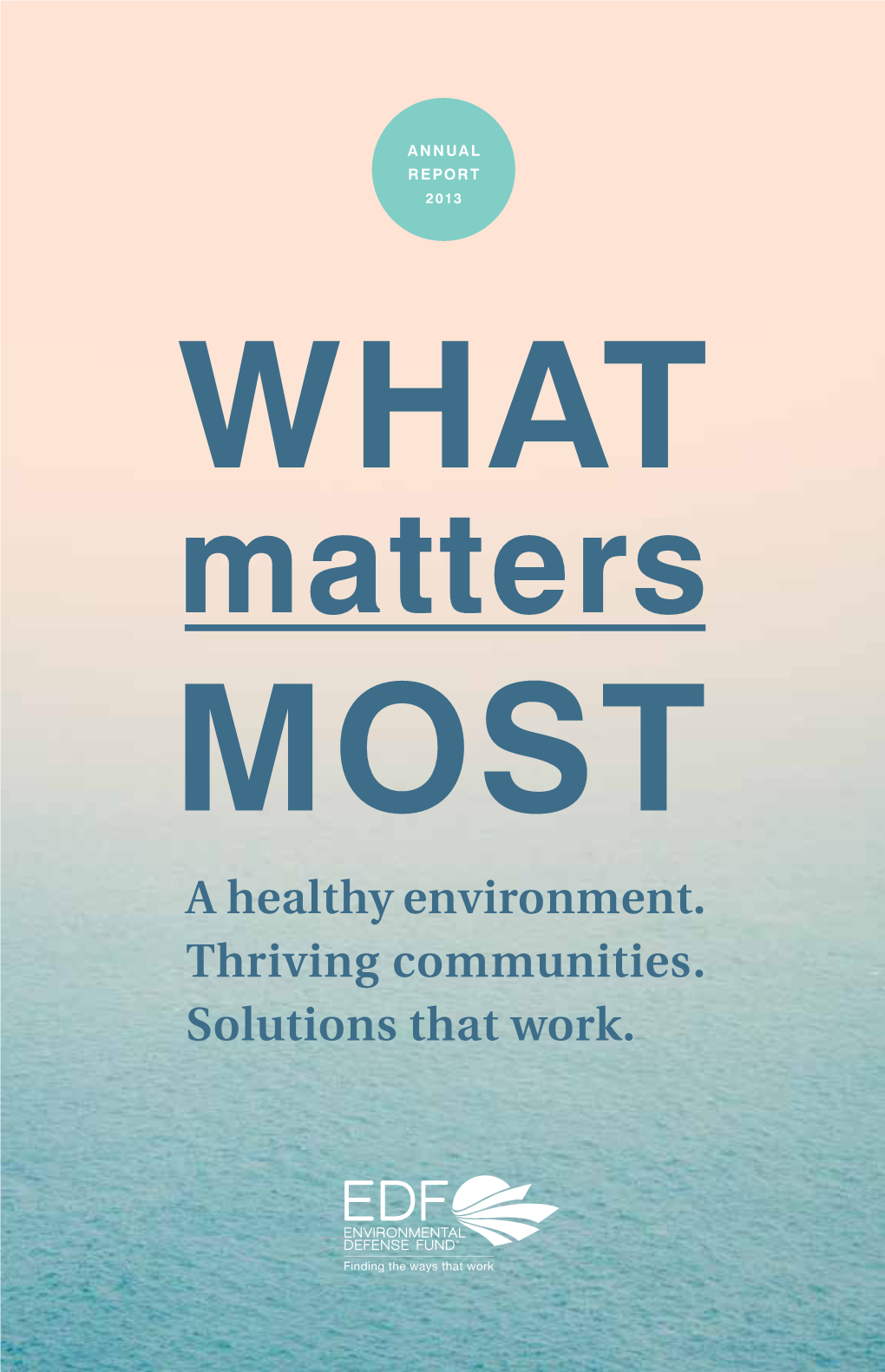 Matters MOST a Healthy Environment