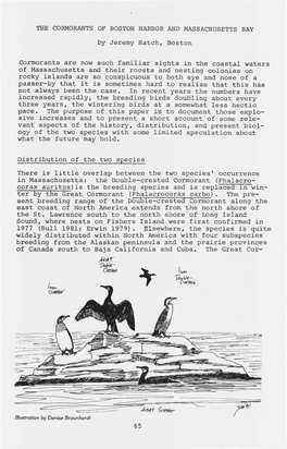 Birdobserver10.2 Page65-74 the Cormorants of Boston Harbor And