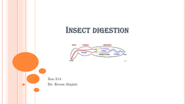 Insect Digestion