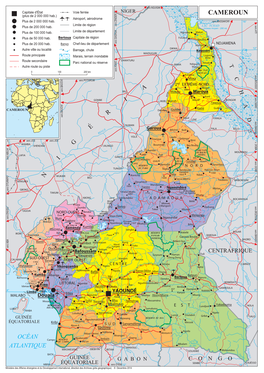 CAMEROUN (Plus De 2 000 000 Hab.) Aéroport, Aérodrome Plus De 2 000 000 Hab