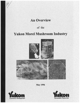 Overview-Of-The-Yukon-Morel-Mushroom-Industry-1996.Pdf
