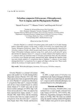Volvocaceae, Chlorophyceae), New to Japan, and Its Phylogenetic Position