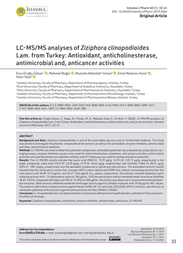 Ziziphora Clinopodioides Lam