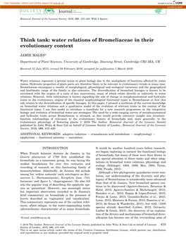 Water Relations of Bromeliaceae in Their Evolutionary Context