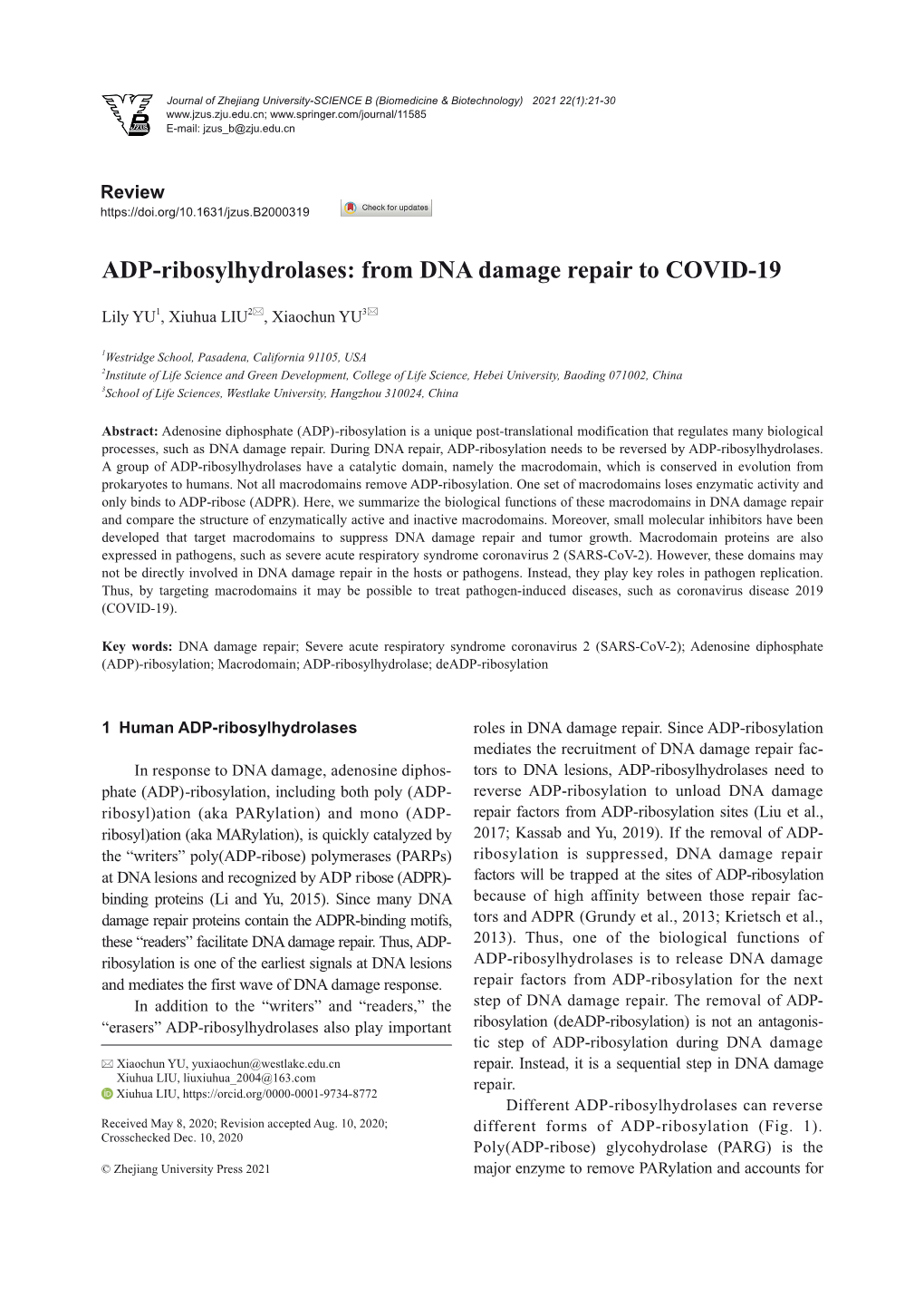 ADP-Ribosylhydrolases: from DNA Damage Repair to COVID-19