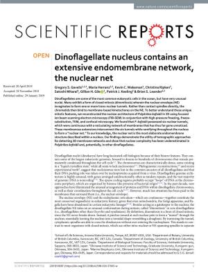 Dinoflagellate Nucleus Contains an Extensive Endomembrane Network