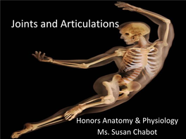 Joints and Articulations
