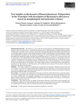 Bjerkandera (Phanerochaetaceae, Polyporales) in the Neotropics with Description of Bjerkandera Albocinerea Based on Morphological and Molecular Evidence