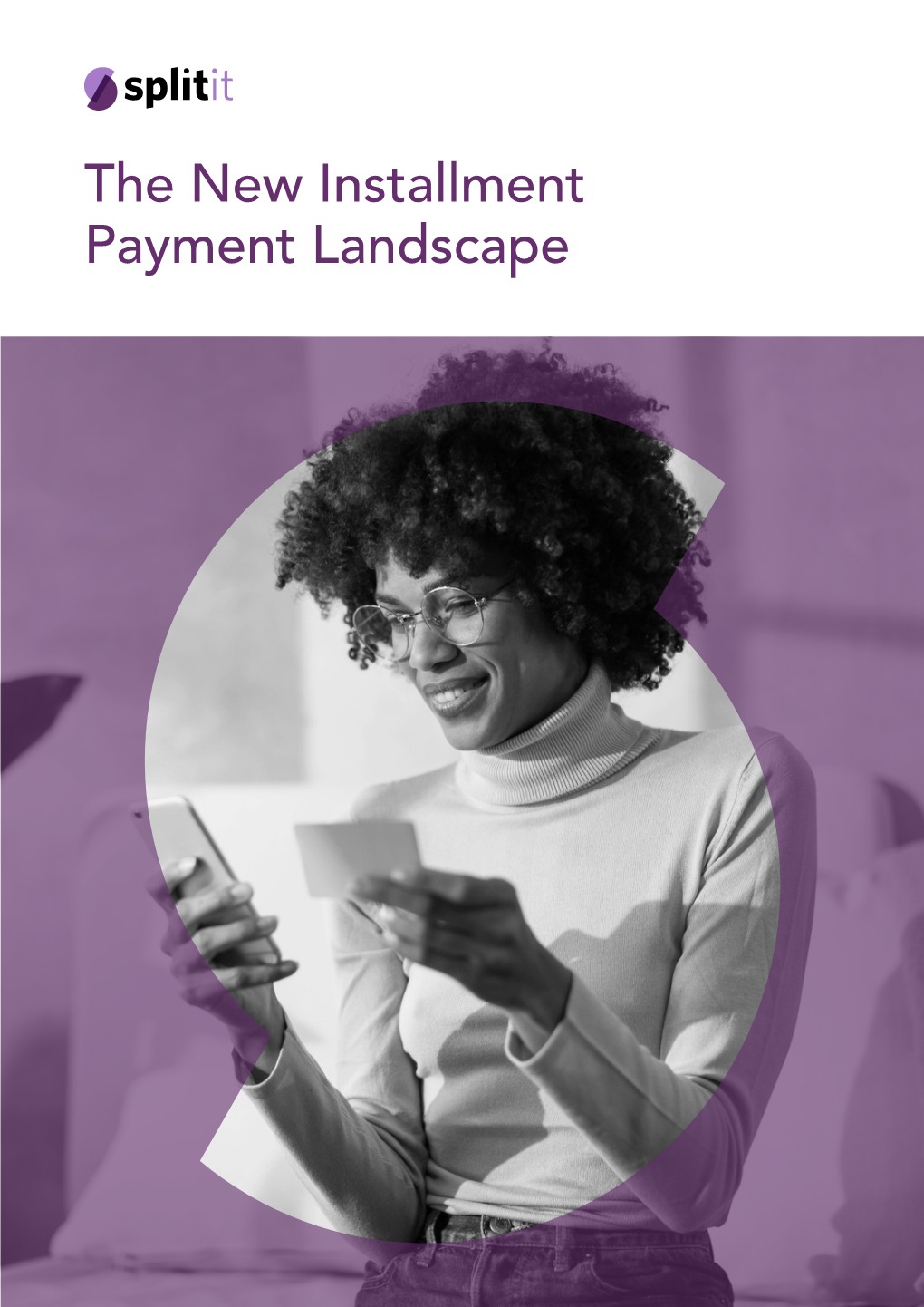 The New Installment Payment Landscape 2