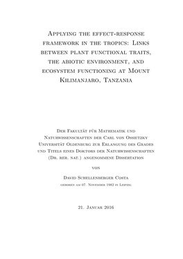 Links Between Plant Functional Traits, the Abiotic Environment, and Ecosystem Functioning at Mount Kilimanjaro, Tanzania