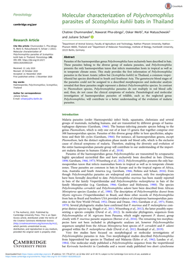 Molecular Characterization of Polychromophilus Parasites of Scotophilus Kuhlii Bats in Thailand Cambridge.Org/Par