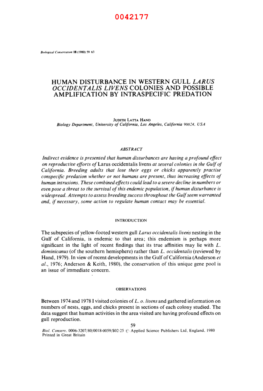 Human Disturbance in Western Gull Larus Occidentalis Livens Colonies and Possible Amplification by Intraspecific Predation