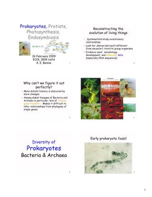 Prokaryotes, Protists, Reconstructing the Photosynthesis, Evolution of Living Things