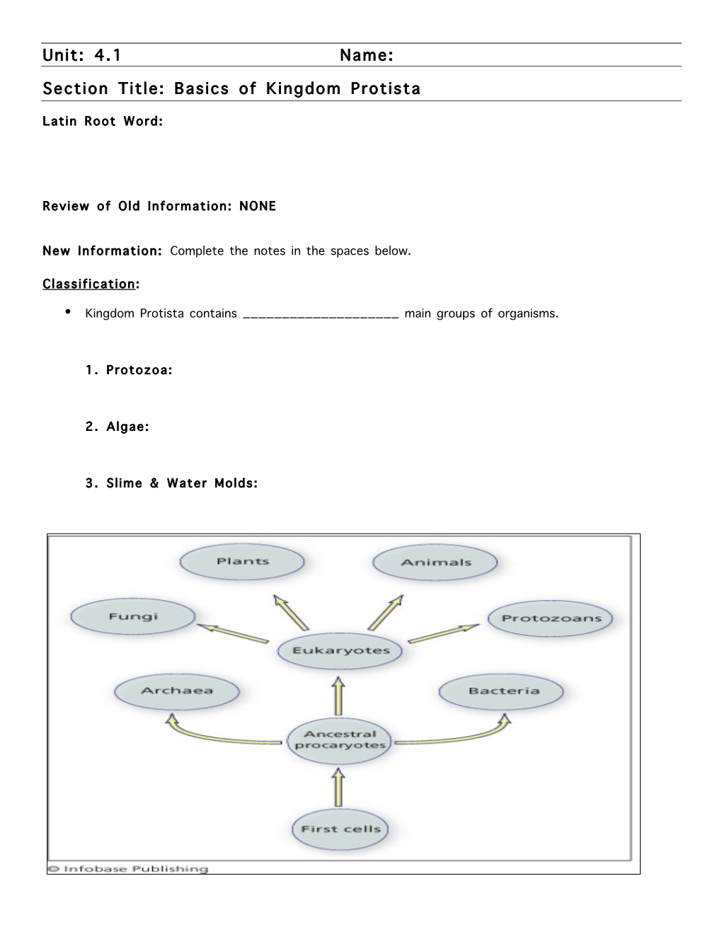 unit-4-1-name-section-title-basics-of-kingdom-protista-latin-root-word-docslib