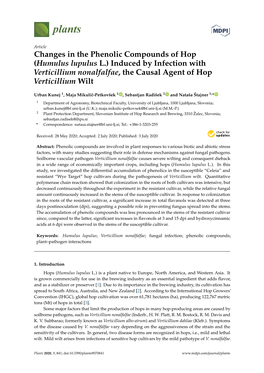 Changes in the Phenolic Compounds of Hop (Humulus Lupulus L.) Induced by Infection with Verticillium Nonalfalfae, the Causal Agent of Hop Verticillium Wilt