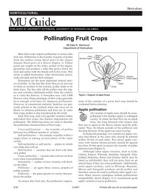 Pollinating Fruit Crops
