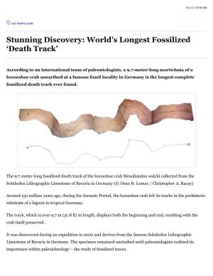 Stunning Discovery: World's Longest Fossilized 'Death Track' — — Readability