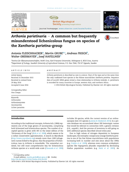 Arthonia Parietinaria E a Common but Frequently Misunderstood Lichenicolous Fungus on Species of the Xanthoria Parietina-Group