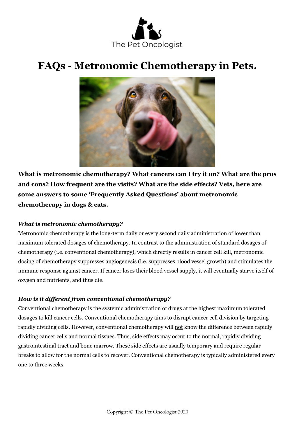 Metronomic Chemotherapy in Pets