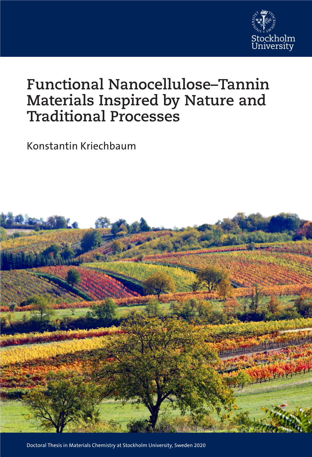 Functional Nanocellulose–Tannin Materials Inspired by Nature and Traditional Processes